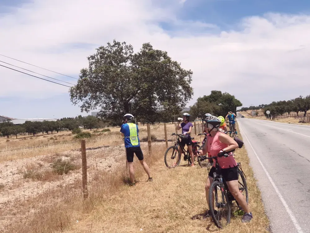 Evora bicycle loop