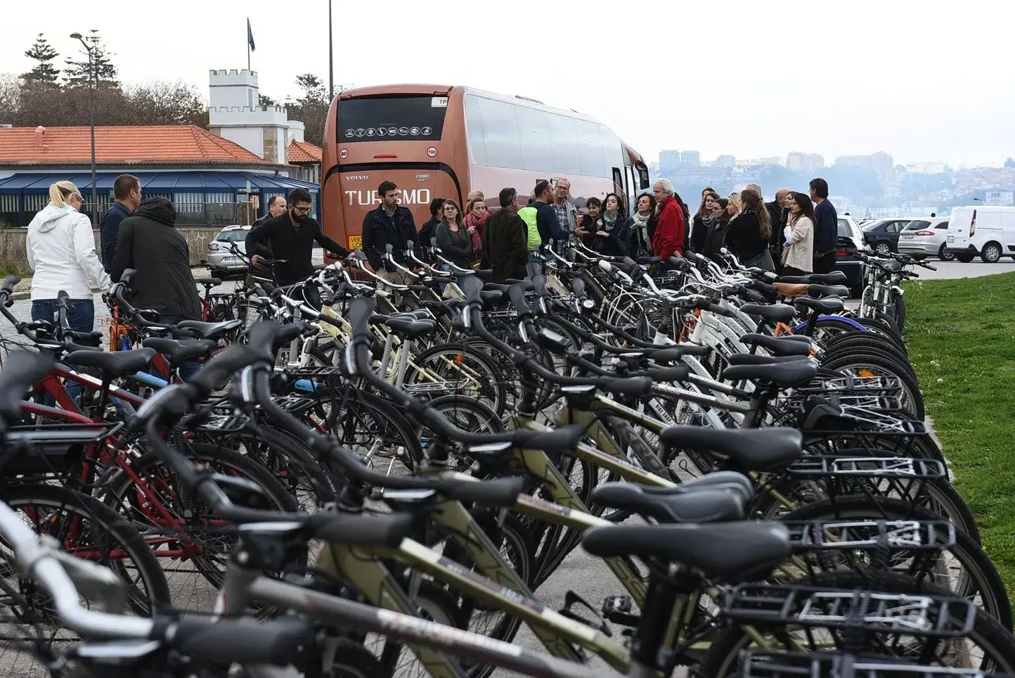 group bike tours with company workers